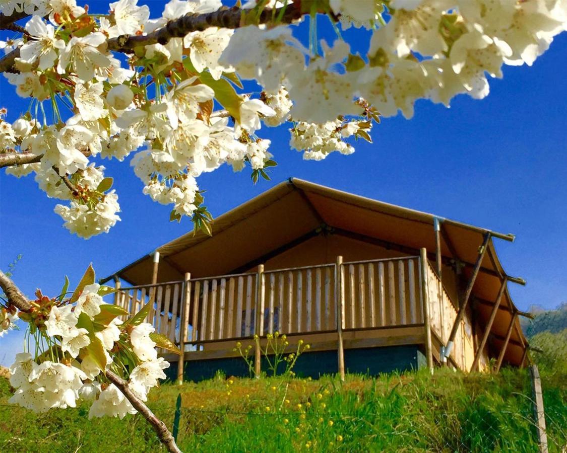 Villaladiva Boutique Glamping ماسيغنانو المظهر الخارجي الصورة